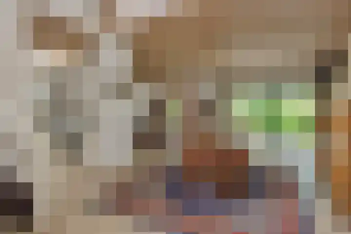 Socrateslaan 1 's-Hertogenbosch thumbnail 10
