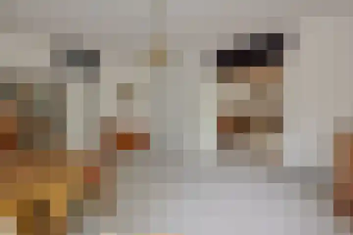 Socrateslaan 1 's-Hertogenbosch thumbnail 16