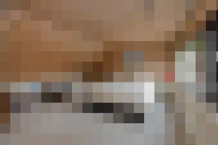 Socrateslaan 1 's-Hertogenbosch thumbnail 18