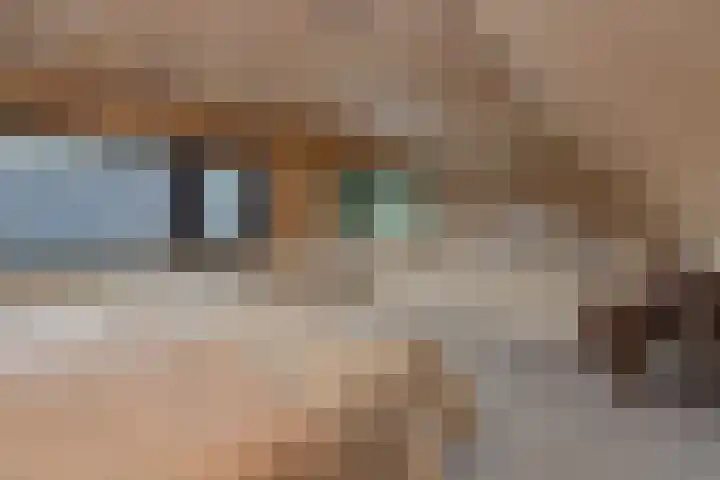 Socrateslaan 1 's-Hertogenbosch thumbnail 19