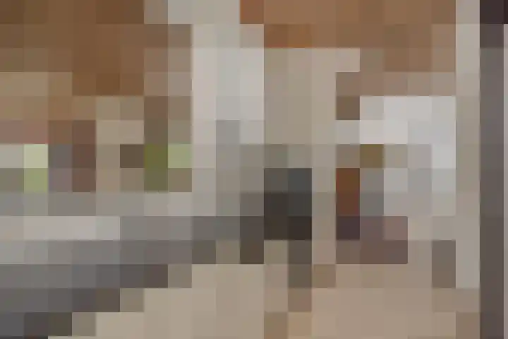 Socrateslaan 1 's-Hertogenbosch thumbnail 22