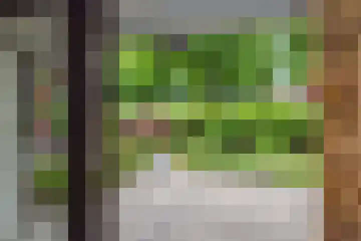 Socrateslaan 1 's-Hertogenbosch thumbnail 23