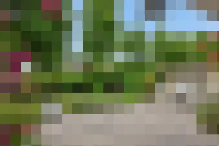 Socrateslaan 1 's-Hertogenbosch thumbnail 24