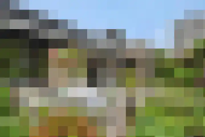 Socrateslaan 1 's-Hertogenbosch thumbnail 25