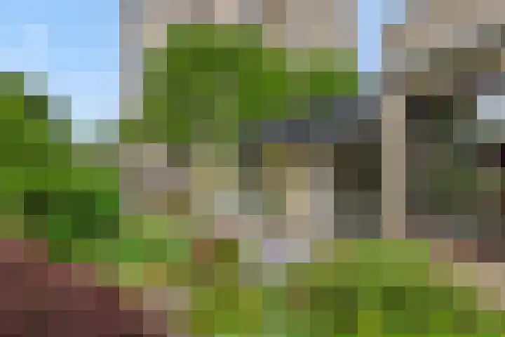 Socrateslaan 1 's-Hertogenbosch thumbnail 26