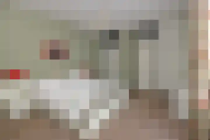 Socrateslaan 1 's-Hertogenbosch thumbnail 29