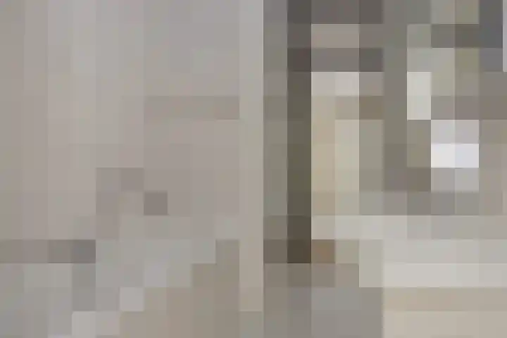 Socrateslaan 1 's-Hertogenbosch thumbnail 30