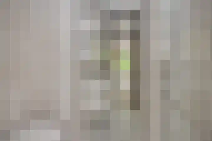 Socrateslaan 1 's-Hertogenbosch thumbnail 31