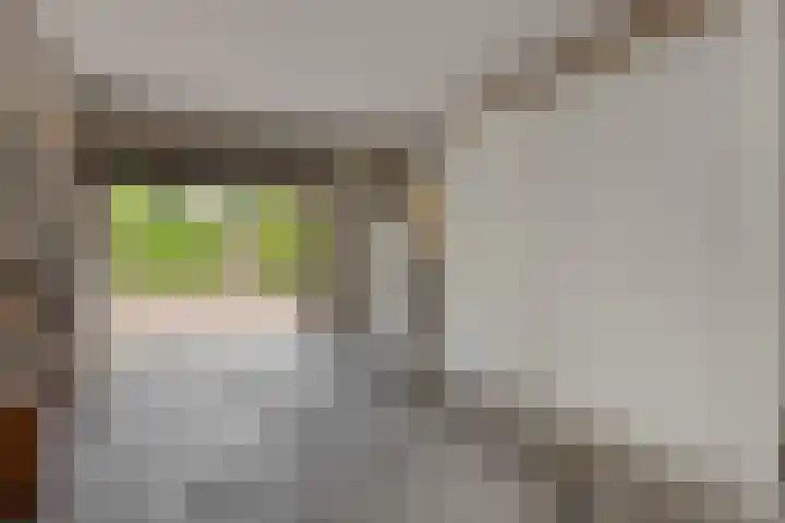 Socrateslaan 1 's-Hertogenbosch thumbnail 35