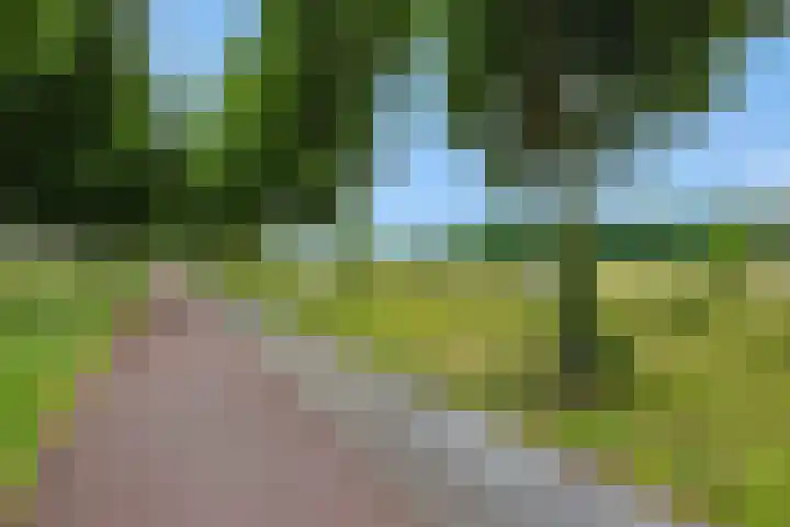 Socrateslaan 1 's-Hertogenbosch thumbnail 37