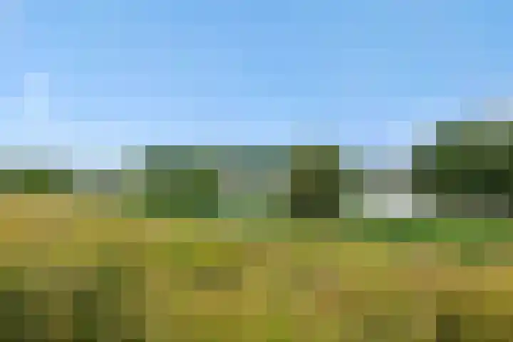 Socrateslaan 1 's-Hertogenbosch thumbnail 4