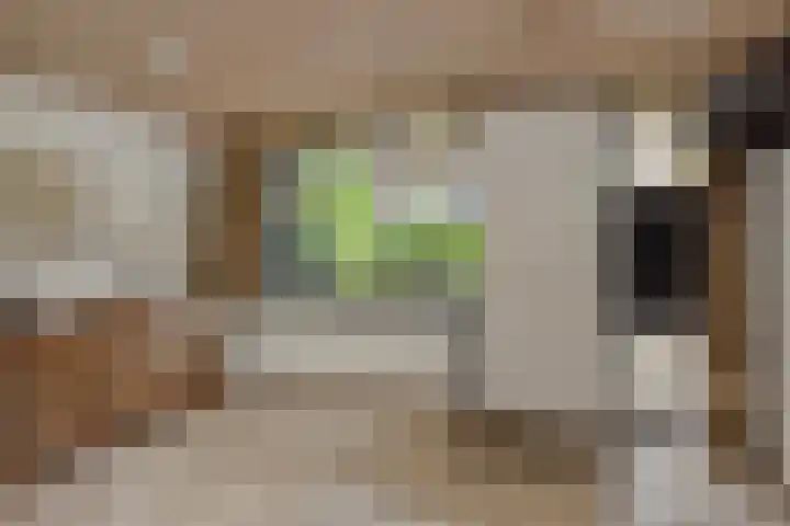 Socrateslaan 1 's-Hertogenbosch thumbnail 7