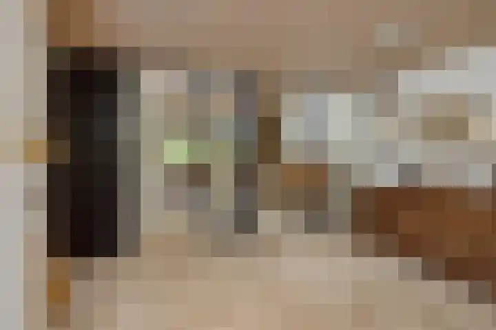 Socrateslaan 1 's-Hertogenbosch thumbnail 8