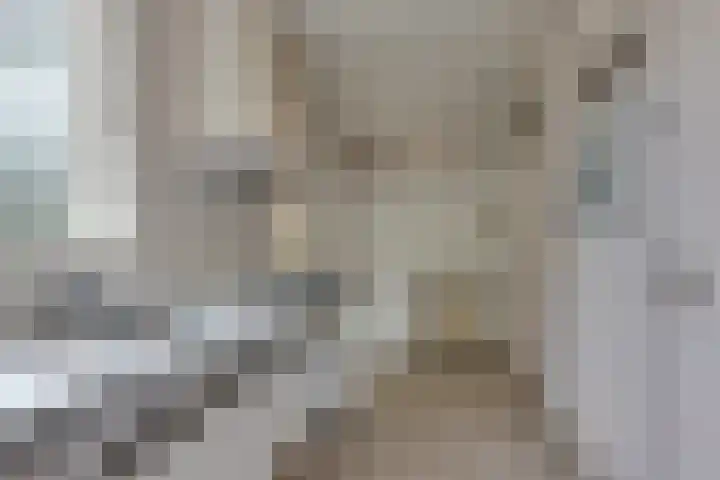Socrateslaan 10 Assen thumbnail 10