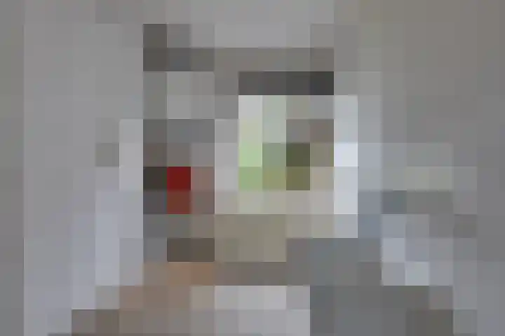 Socrateslaan 10 Assen thumbnail 12