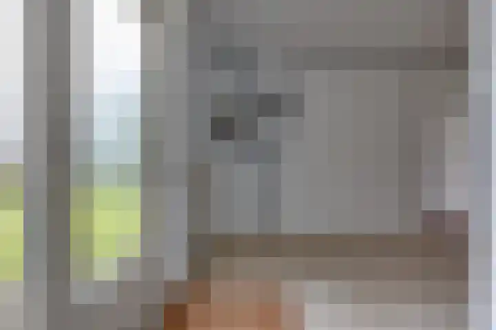 Socrateslaan 10 Assen thumbnail 27