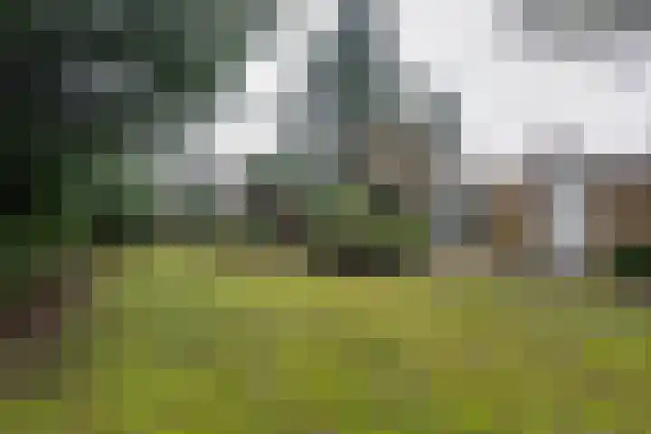Socrateslaan 10 Assen thumbnail 29
