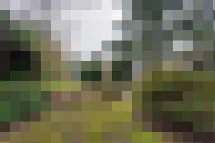 Socrateslaan 10 Assen thumbnail 30