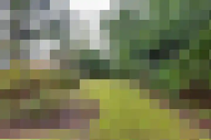 Socrateslaan 10 Assen thumbnail 31
