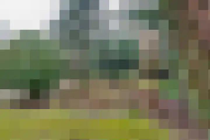 Socrateslaan 10 Assen thumbnail 33