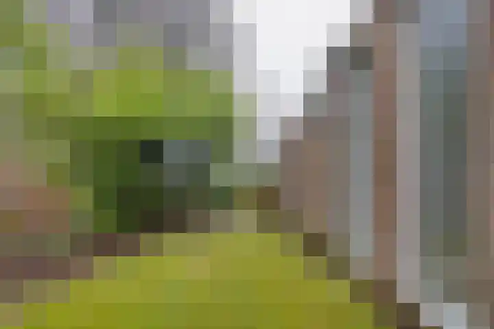 Socrateslaan 10 Assen thumbnail 34