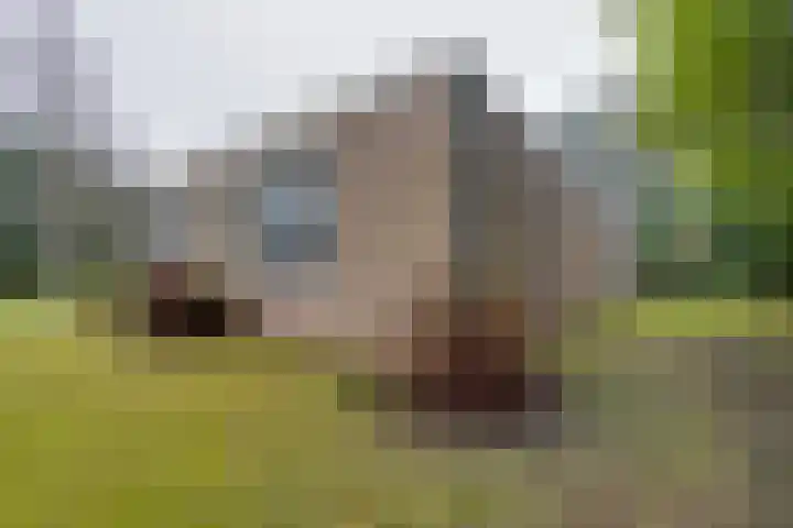 Socrateslaan 10 Assen thumbnail 35