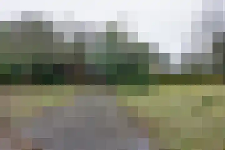Socrateslaan 10 Assen thumbnail 38