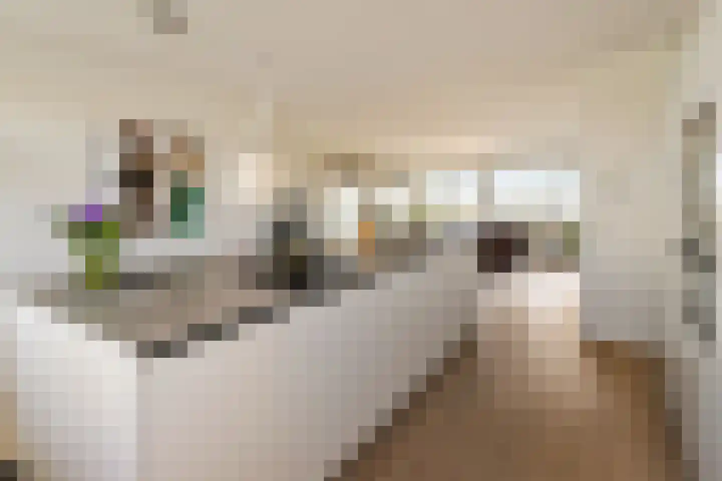 Socrateslaan 107 's-Hertogenbosch thumbnail 23