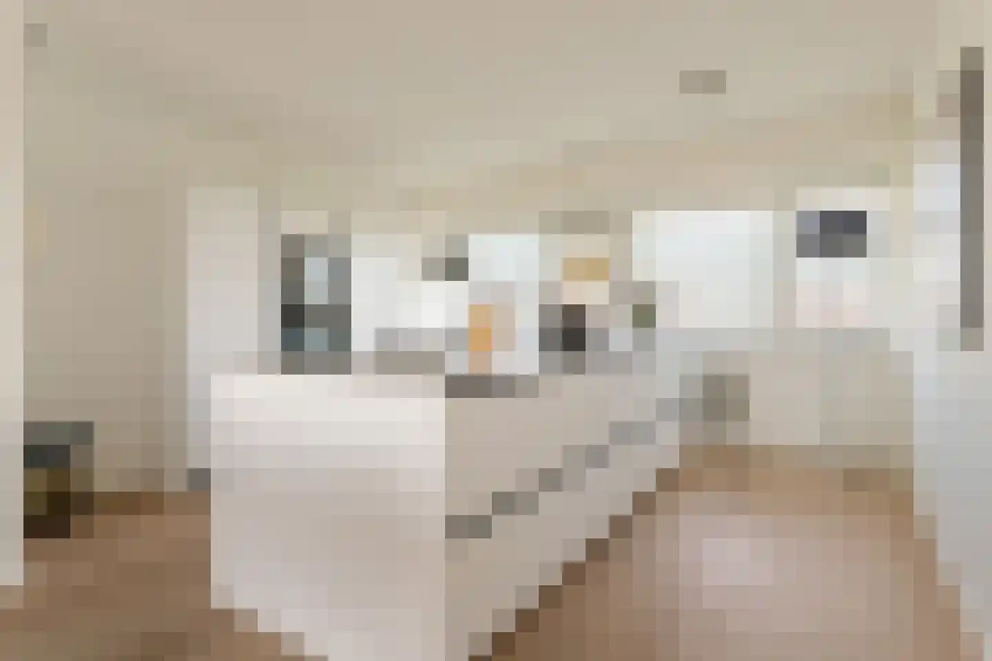 Socrateslaan 107 's-Hertogenbosch thumbnail 5