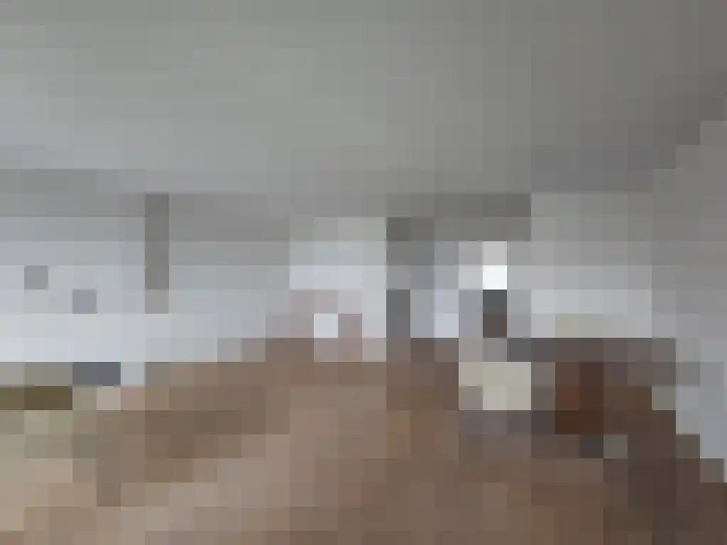 Socrateslaan 115 's-Hertogenbosch thumbnail 5