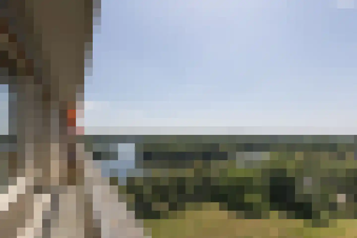 Socrateslaan 119 's-Hertogenbosch thumbnail 15