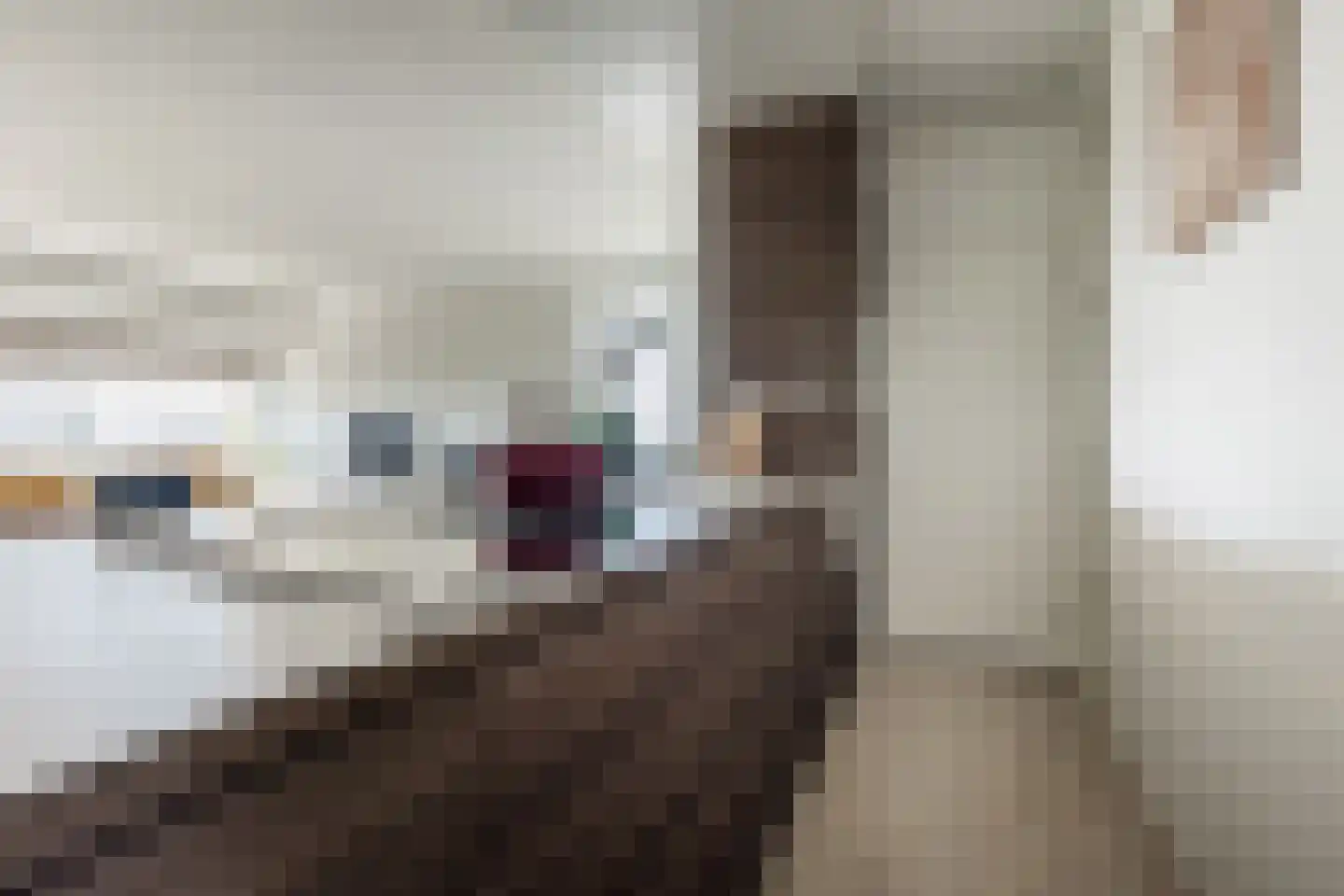 Socrateslaan 119 's-Hertogenbosch thumbnail 22