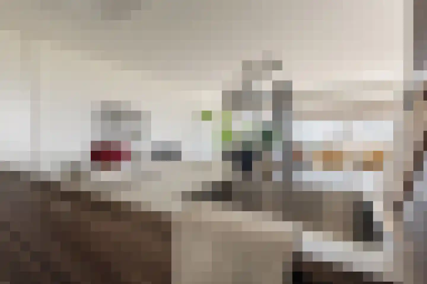 Socrateslaan 119 's-Hertogenbosch thumbnail 23