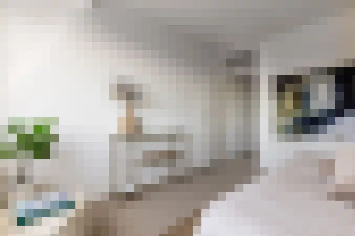 Socrateslaan 119 's-Hertogenbosch thumbnail 28