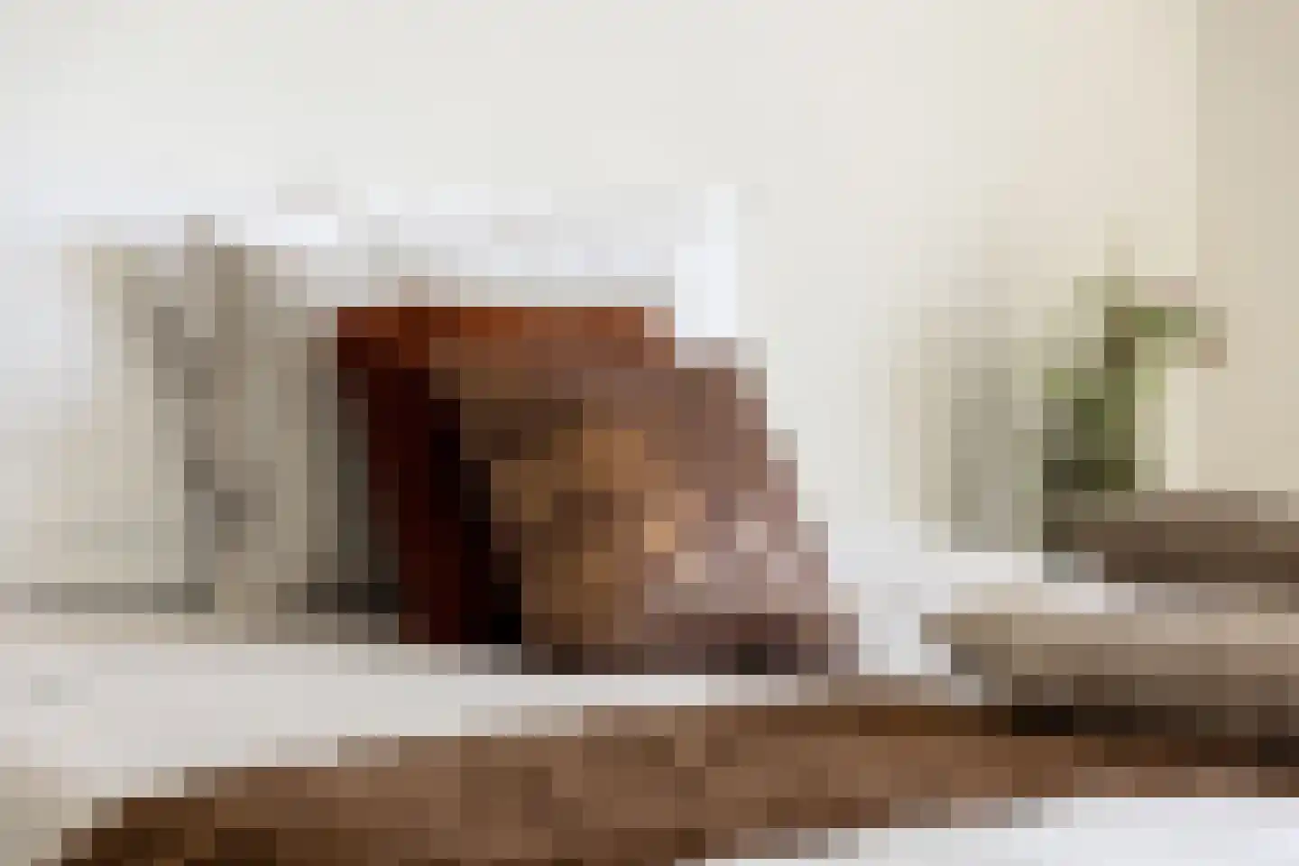 Socrateslaan 119 's-Hertogenbosch thumbnail 29