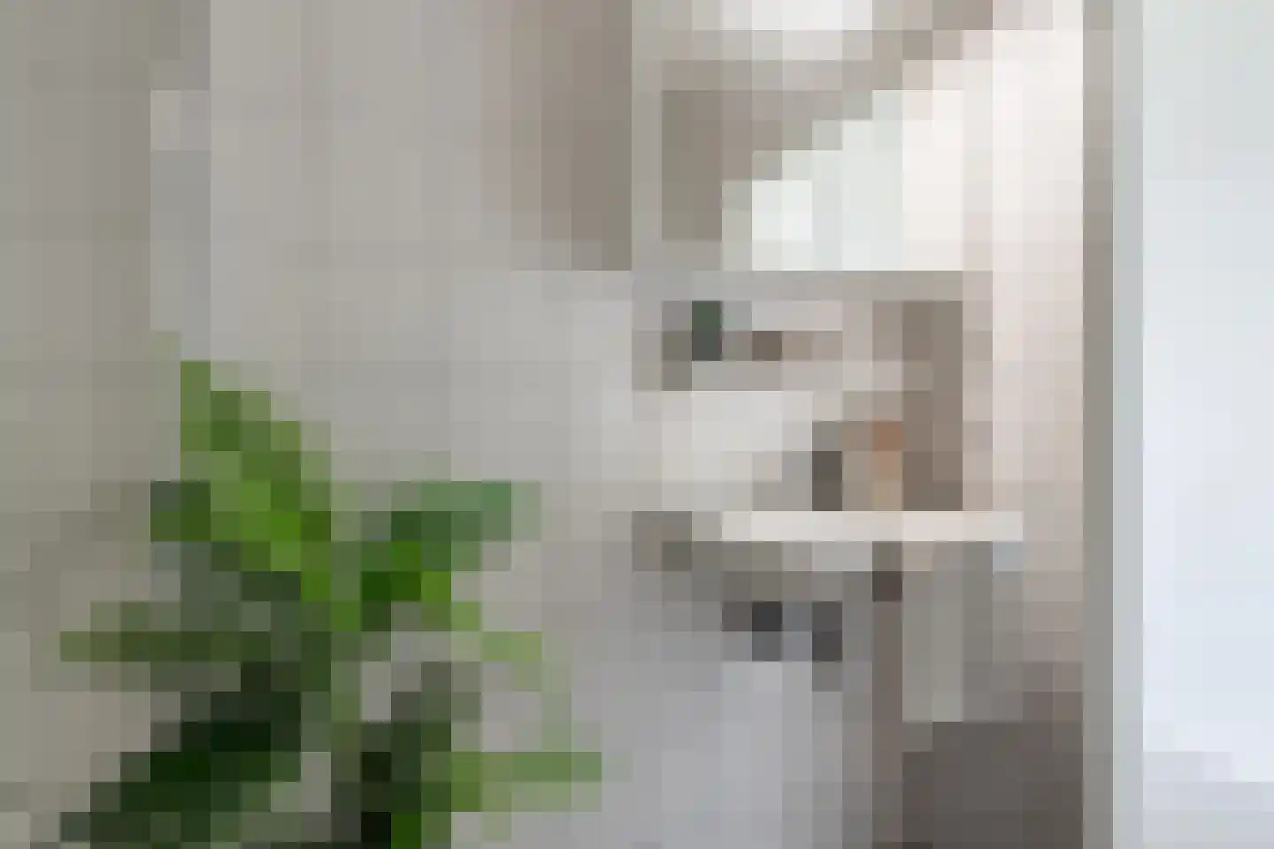 Socrateslaan 119 's-Hertogenbosch thumbnail 31