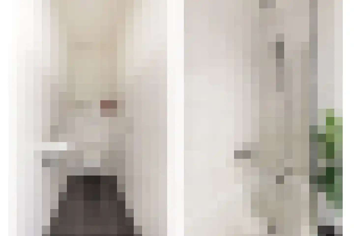 Socrateslaan 119 's-Hertogenbosch thumbnail 33