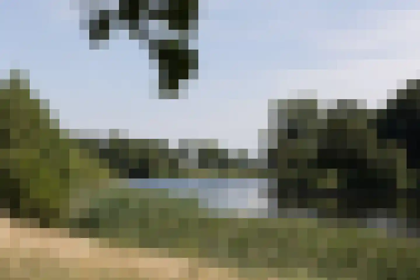 Socrateslaan 119 's-Hertogenbosch thumbnail 39