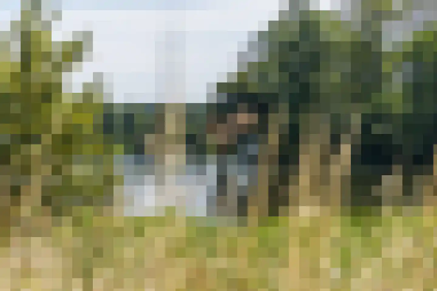 Socrateslaan 119 's-Hertogenbosch thumbnail 40