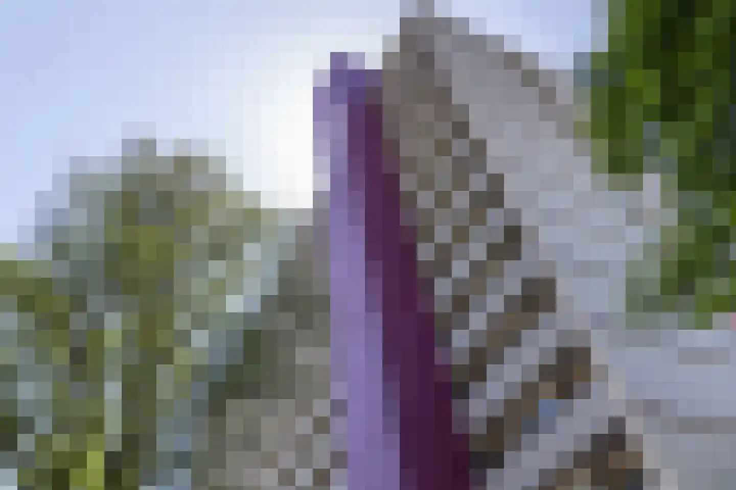 Socrateslaan 119 's-Hertogenbosch thumbnail 43