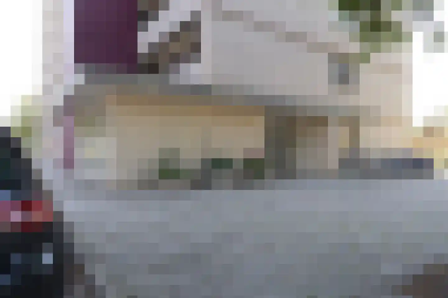 Socrateslaan 119 's-Hertogenbosch thumbnail 5