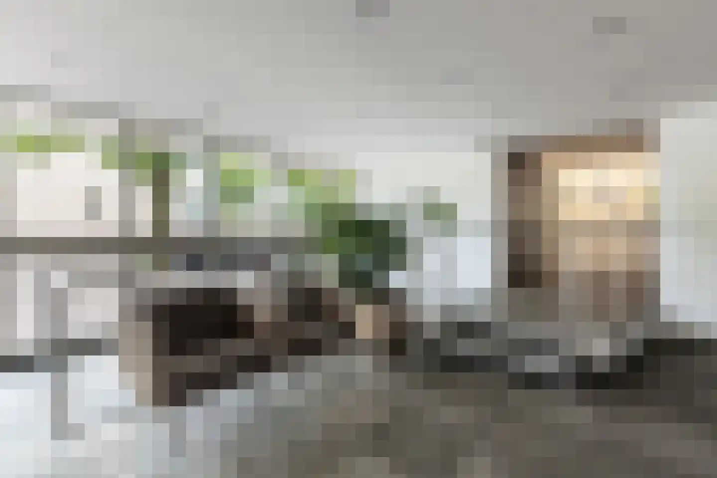 Socrateslaan 119 's-Hertogenbosch thumbnail 6