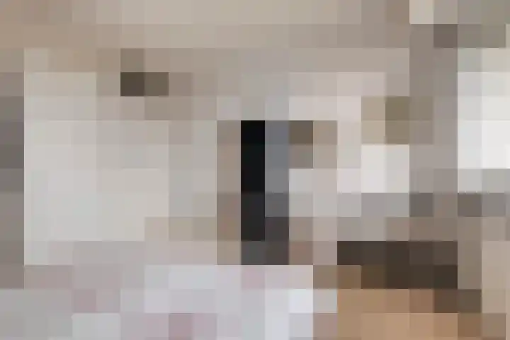 Socrateslaan 125 's-Hertogenbosch thumbnail 16