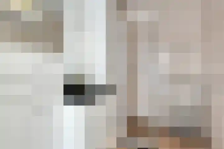 Socrateslaan 125 's-Hertogenbosch thumbnail 17