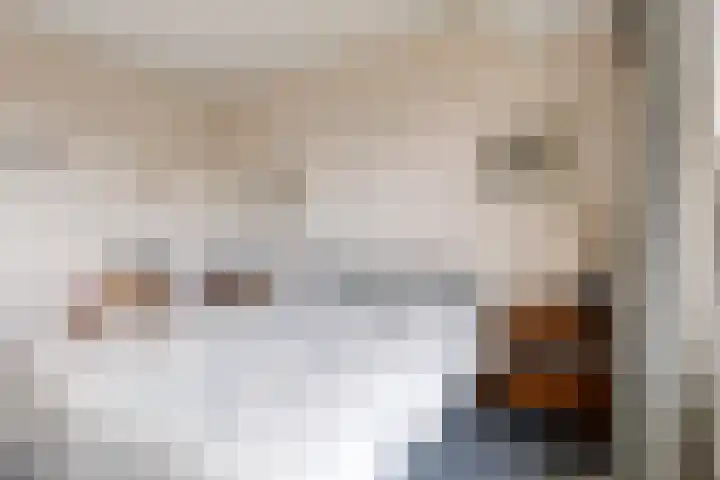 Socrateslaan 125 's-Hertogenbosch thumbnail 20