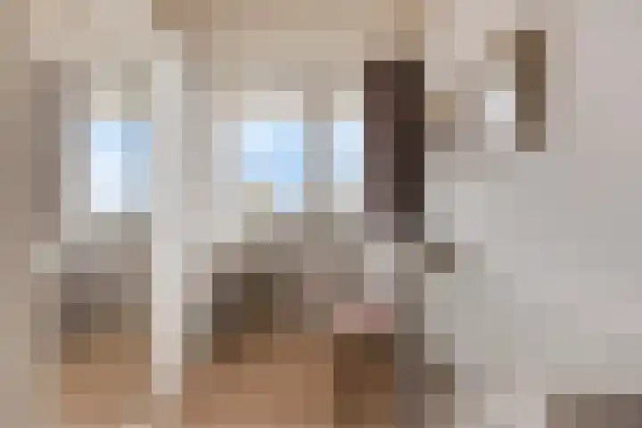 Socrateslaan 125 's-Hertogenbosch thumbnail 22