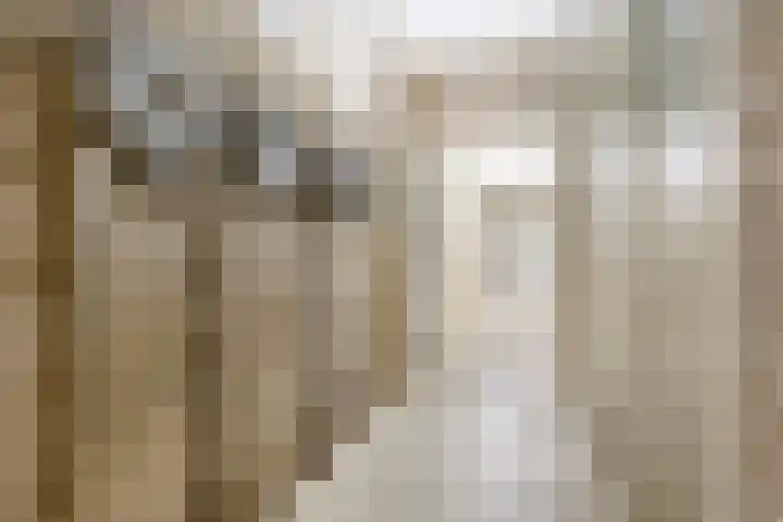 Socrateslaan 125 's-Hertogenbosch thumbnail 23