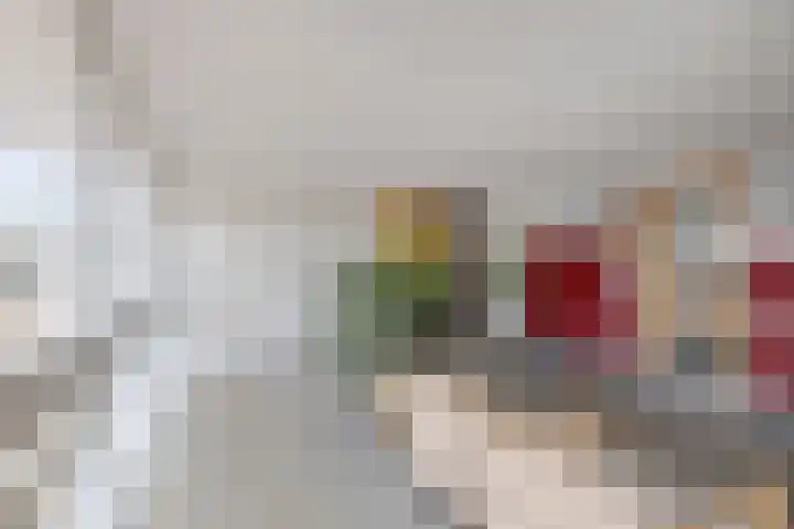 Socrateslaan 125 's-Hertogenbosch thumbnail 29