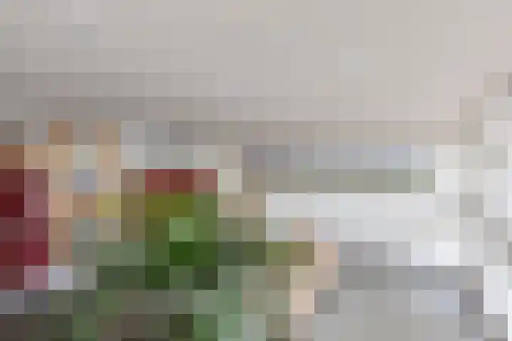 Socrateslaan 125 's-Hertogenbosch thumbnail 30