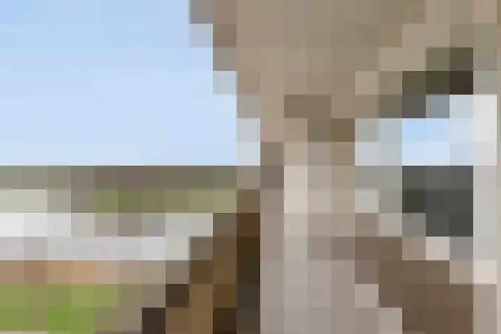 Socrateslaan 125 's-Hertogenbosch thumbnail 32
